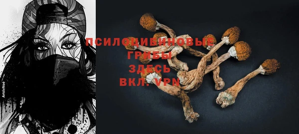шишки Бронницы